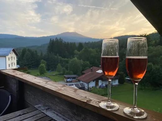 Apartment Family Sumava *